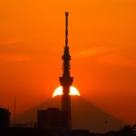 この写真を生成AIによるものと思われた方もいるかも知れませんが違います。
撮影チャンスは年に数回ですが、なんと言っても適度に晴れないといけません。曇られて帰るときの背中は哀愁全開だと思います(笑)
偶然右下に鳥が写りました。狭い日本、そんなに急いでどこへ行くの?星座はわかっても鳥の種類はわかりません。