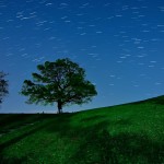 横浜市の清水ケ丘公園で撮影した1枚です。街なかではなかなかきれいな星を見ることができませんが、この日は雨上がりで空が澄んでいて星がたくさん見えました。撮影したのは4月の中頃です。新緑の芝を前景に青い空を背景にして、丘にある立派な木をメインに据えてさそり座が飛び出すような構図にしました。この木は横浜出身のアーティストのゆずがPVをここで撮影したことから「ゆずの木」と呼ばれています。