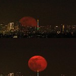 東京タワーを遠く望む神奈川県の高台から、昇ってくる満月が重なるのを待ちました。東京タワーから離れると東京タワーは小さく見えるようになりますが、月は地球上では見える大きさはほとんど変わりませんので、東京タワーに比べて月が大きく写ります。
地上に顔を出した満月は、タコ入道のような感じ。少し上ると東京タワーの先端に引っ掛かりました。