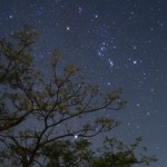 房総半島の山あいの静かな夜空に、冬の代表的な星座「オリオン座」が木々の上に輝いています。三つ星や赤いベテルギウス、青白いリゲルがはっきりと浮かび上がり、その足元には、木の枝の隙間から全天で最も明るい星「シリウス」が鋭い光を放ち、星空全体に一層の輝きを添えています。
山の静けさと木々のシルエットに包まれた中で、古来より人々を魅了してきたオリオン座とシリウスが共演する、冬の夜ならではの美しい星景です。